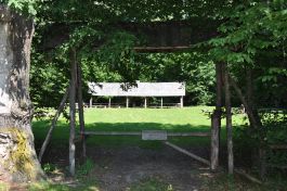 Noclegi w Puszczy Białowieskiej