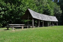 Noclegi w Puszczy Białowieskiej