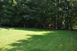 Noclegi w Puszczy Białowieskiej