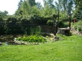 Noclegi w Puszczy Białowieskiej