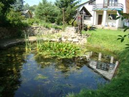 Noclegi w Puszczy Białowieskiej