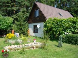 Noclegi w Puszczy Białowieskiej